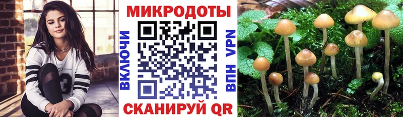 Псилоцибиновые грибы мицелий  наркотики  Южноуральск 