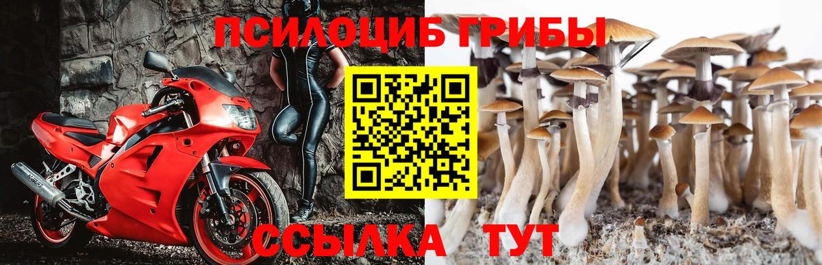Галлюциногенные грибы Cubensis Южноуральск