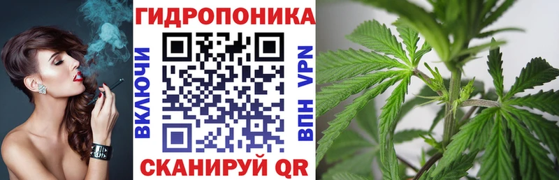 кракен онион  закладка  Южноуральск  Каннабис Amnesia 
